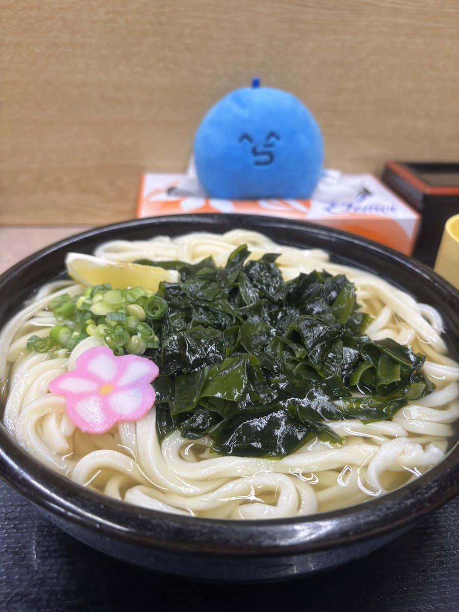 kitayo_ratami's tweet photo. 香川のら民のみなさんこんちゃ〜

四国初上陸！うどん三倍役満🔥幸先いいねぇ
お目当てのホワイトタイガーとライオンはバカ寝てた💤
触れ合い動物園最高だぜ〜 https://t.co/o4Lu8Jp4uN