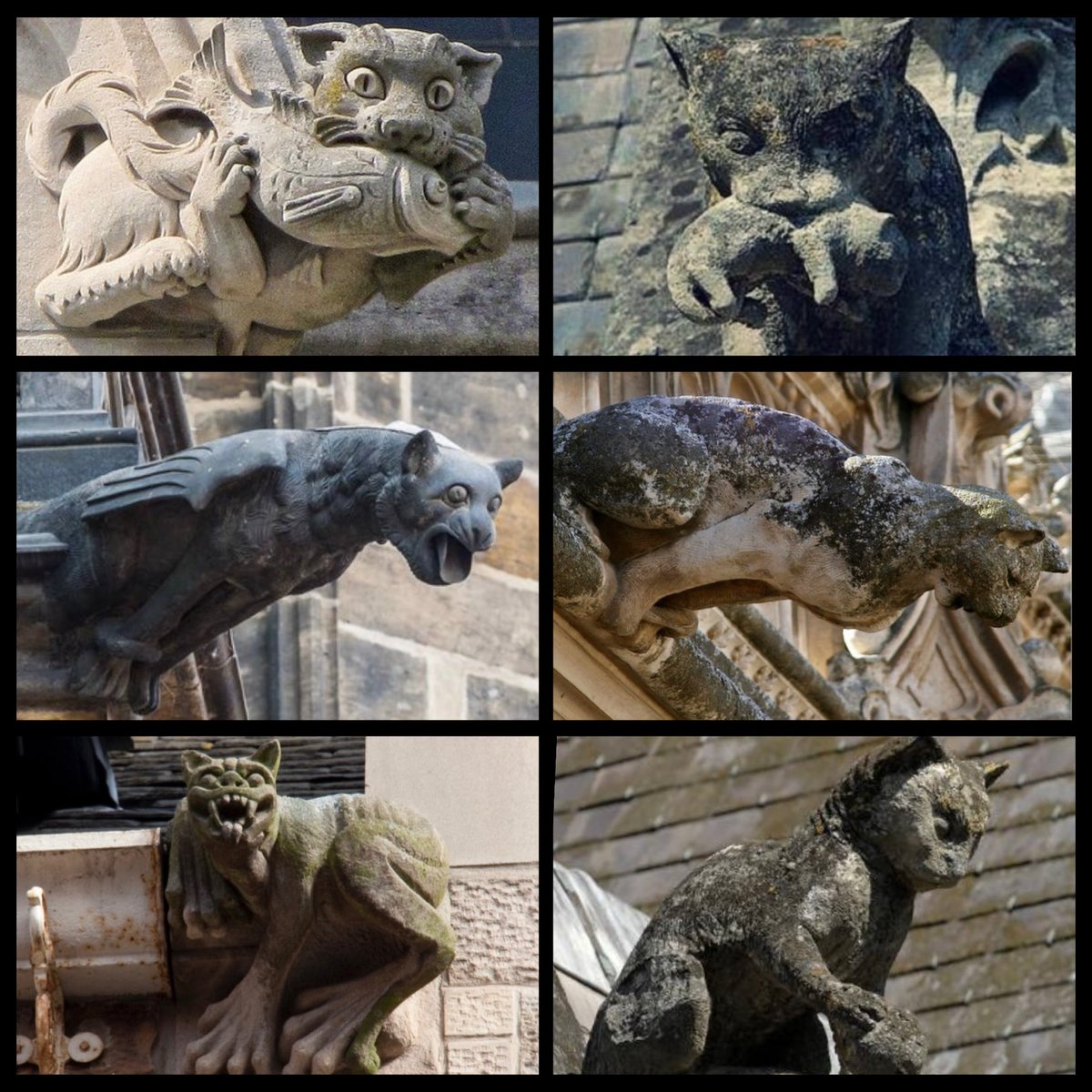 TitaniasRealm's tweet photo. Cat gargoyles and grotesques

#FolkloreSunday https://t.co/r9655zzwVB