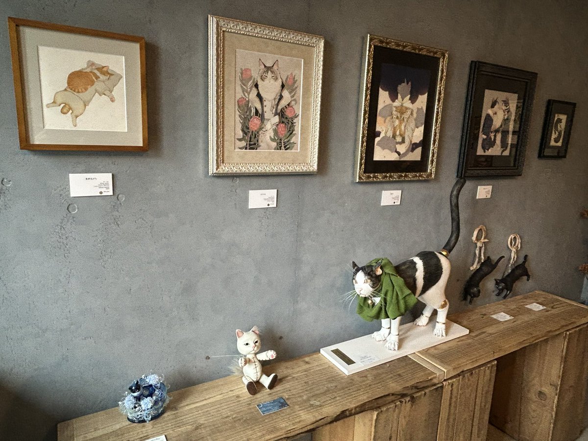 Sybariticalice's tweet photo. 曳舟のgallery hydrangeaさんネコテーマの『 気まぐれなるままに 』
特に球体関節猫ちゃんを観たくてお邪魔いたしました
当たり前なんですけれど💦たくさんのネコ達に囲まれてうれしい展示でございました😺 https://t.co/fyLVUVy9p7