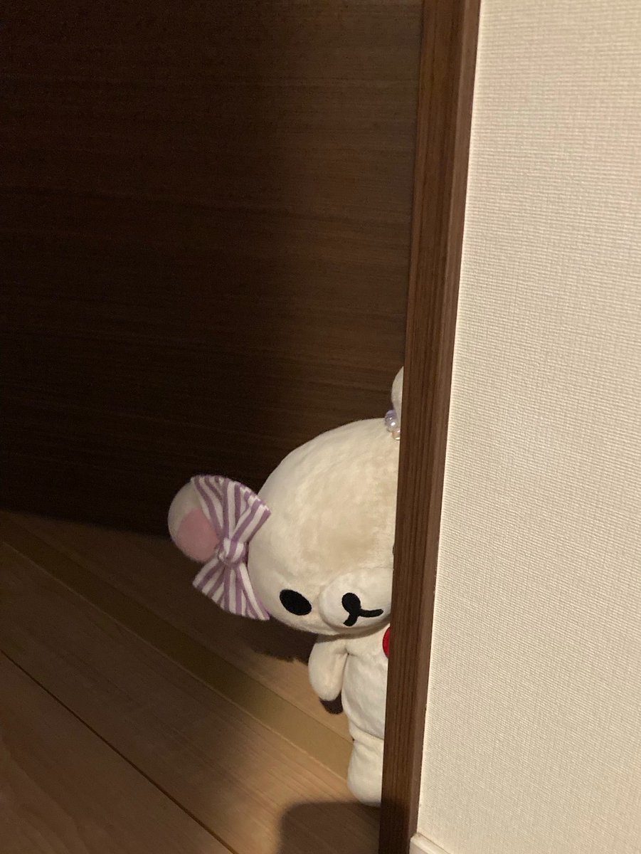 moonrius_'s tweet photo. ねんねちてたら
だいこりちゃん
いなくなってたの😢 https://t.co/oI0mmWsWfj