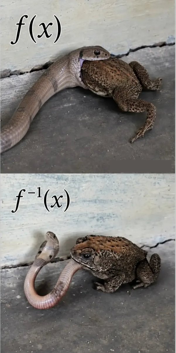 XMathTricks tweet picture