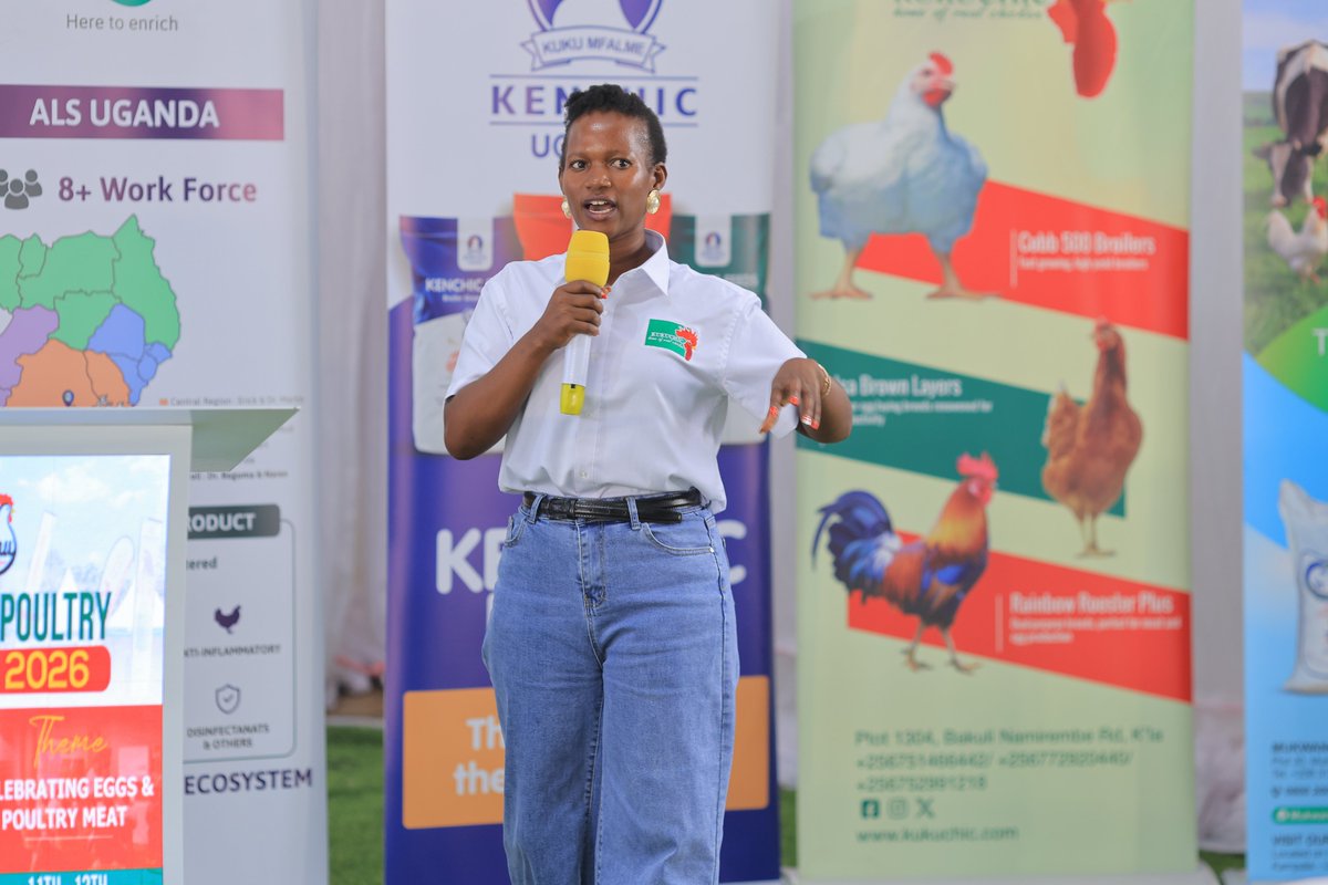 PAU_PoultryUG's tweet photo. The Farmer’s Master Class focuses on Poultry Nutrition Fundamentals, facilitated by Ankunda Miria of @kukuchicuganda 

Good nutrition = healthier birds, better productivity &amp; improved profits.

What’s your biggest poultry nutrition challenge? https://t.co/eEmW8kHA2E