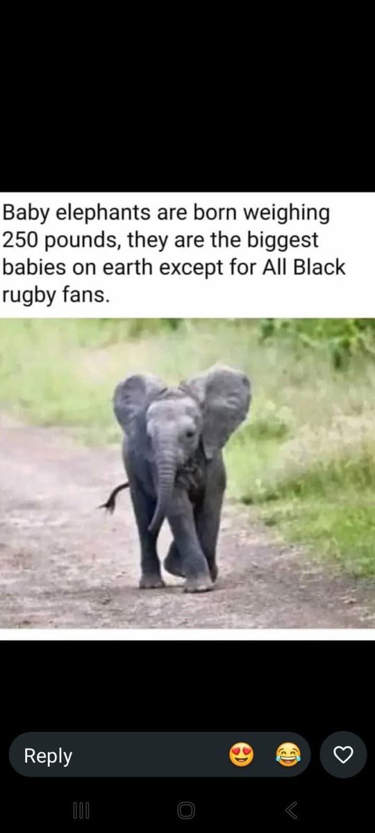 ReinhardtHoffma's tweet photo. @AndyGoode10 https://t.co/68QfZmcI98