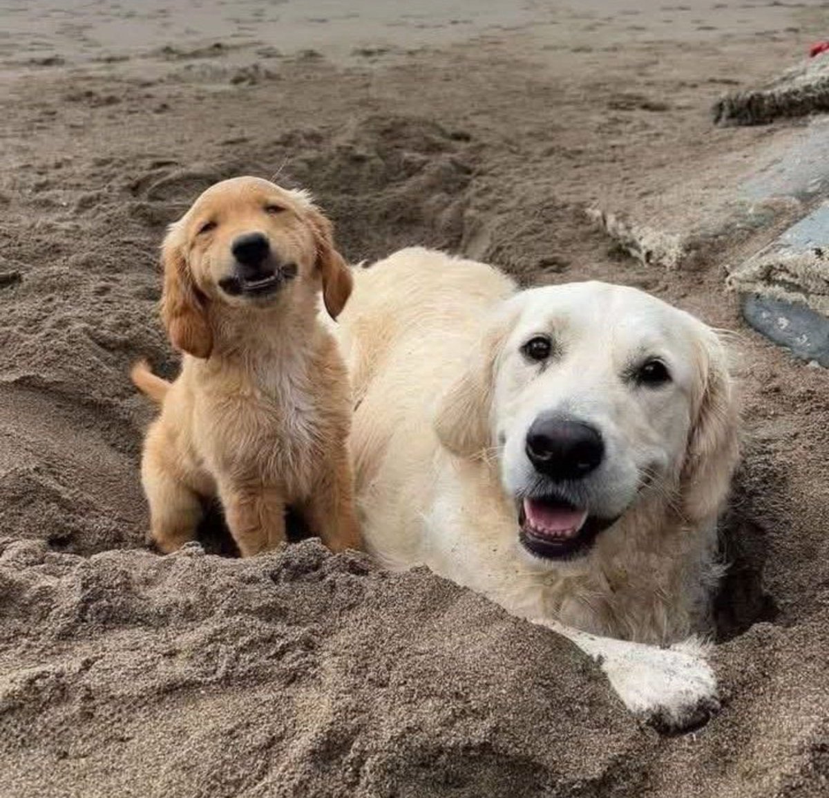 Miep51082958's tweet photo. #HelloThere #KeepSmiling https://t.co/L4DzexcLQB