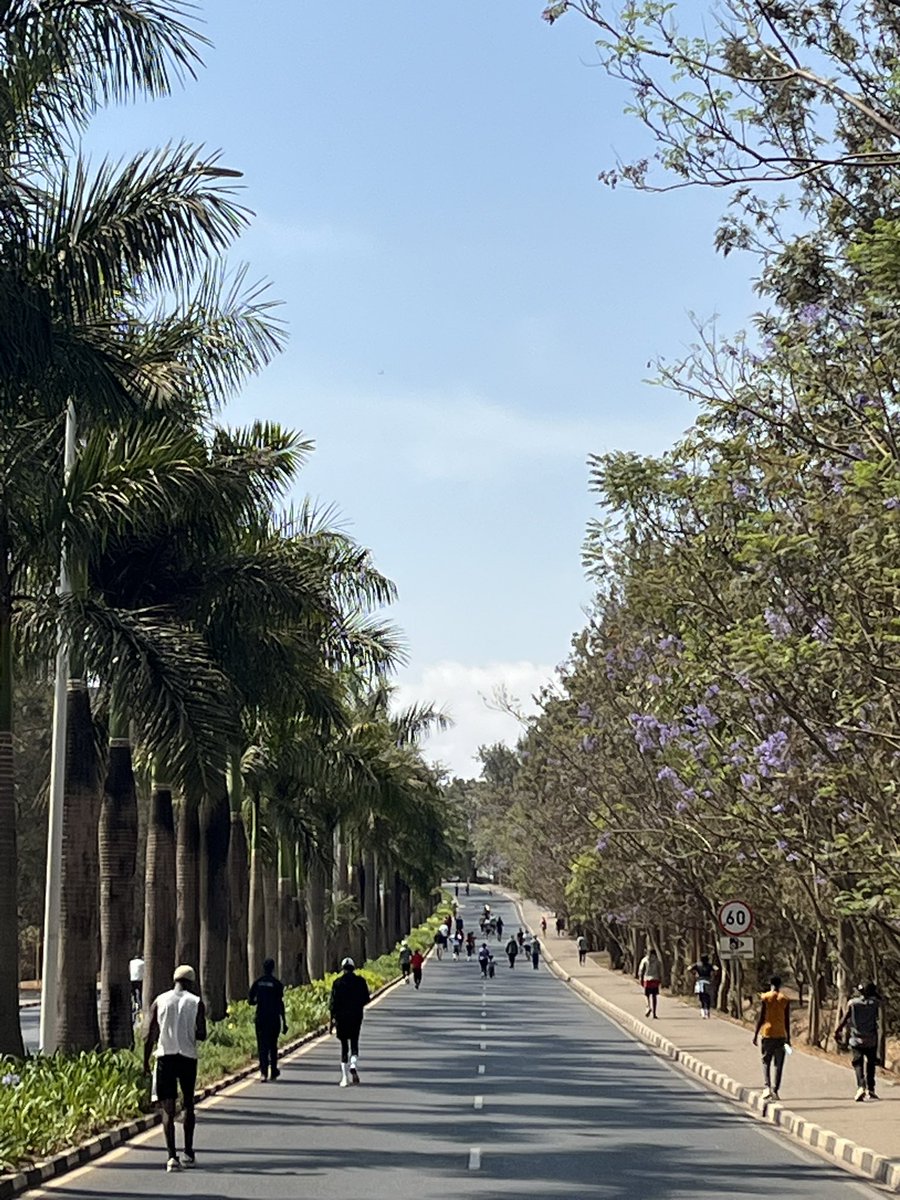 ElisabethJT's tweet photo. Began my Rwandaversary today at @CityofKigali #CarFreeDay 
Perfect reminder why I’ve chosen to live in #Rwanda 🇷🇼 for 14 years…
Good climate, warm people, safe streets…
Ni’hantu heza, abantu b’anyamutima mwiza, imihanda itekanye…
Urwanda nziza, Ni’wacu wanjye https://t.co/MYJoQWfZin