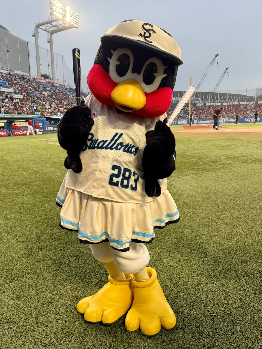 swallowspr's tweet photo. 本日は2026CREWユニホーム着用の最終日🩵

つばみちゃんも準備OKです✨

#つばみ #swallows #燕心全開 https://t.co/UkAUHj7t0G