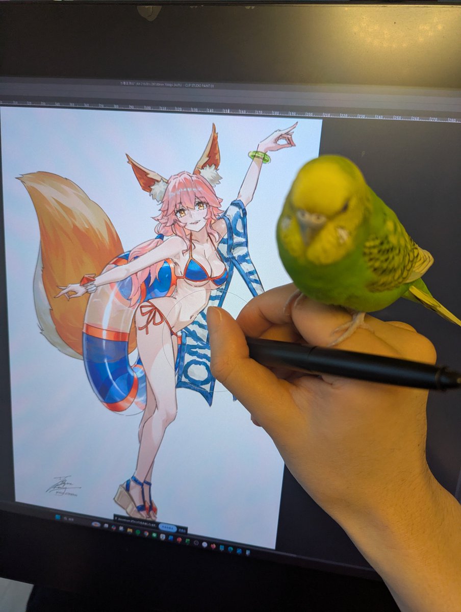 FadingzZ's tweet photo. 🦜 https://t.co/xsu1T6cDRY