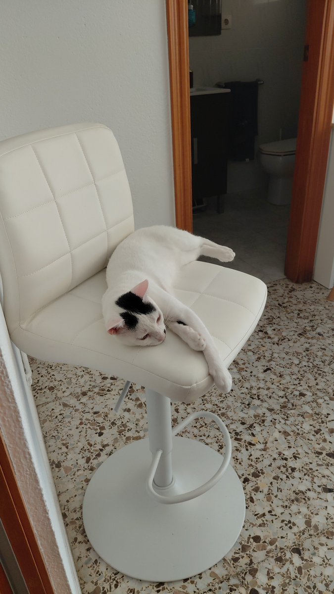 _josleo's tweet photo. Bienvenidos a casa 💛 https://t.co/Nj1EXfQArI