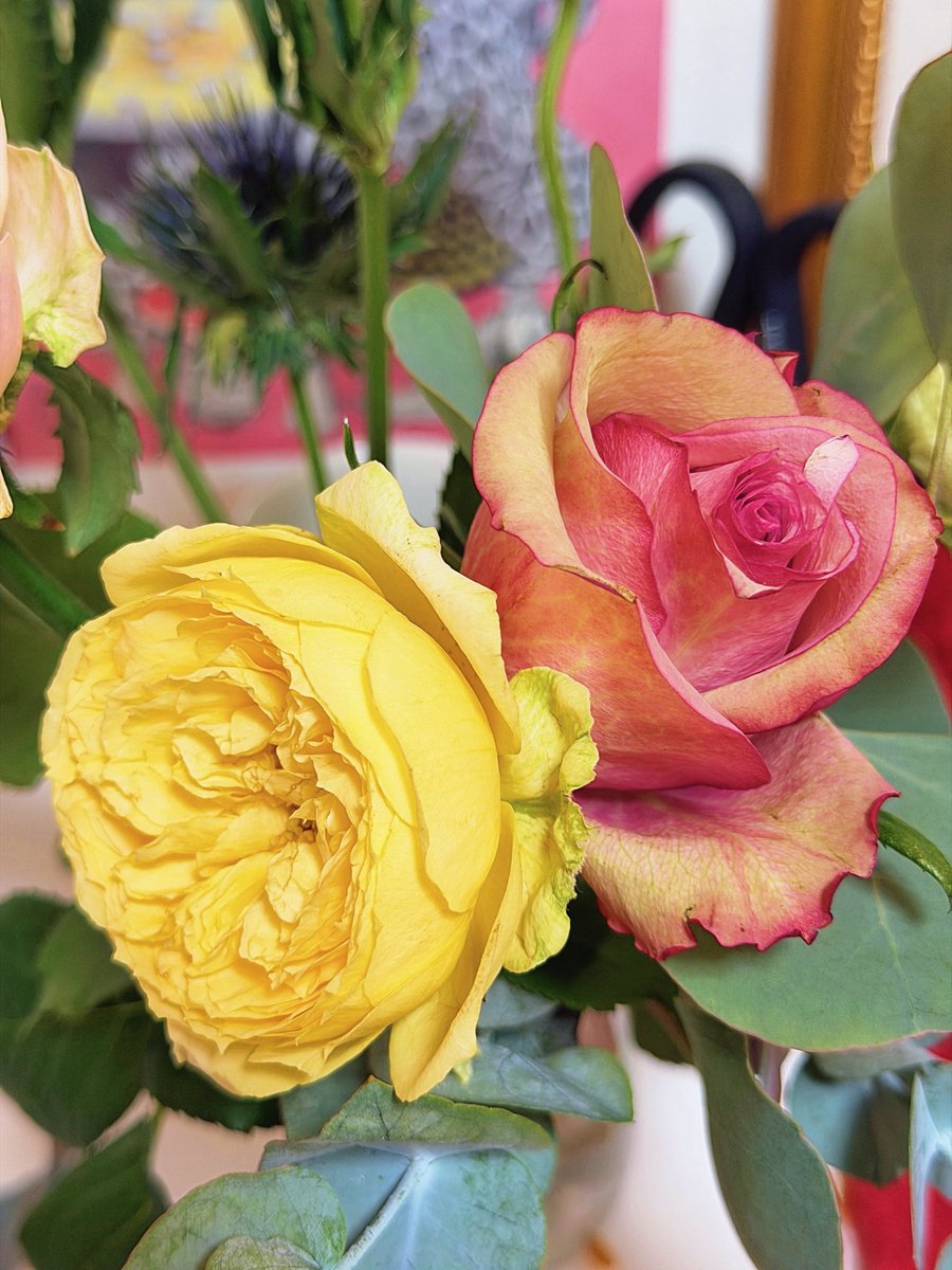 azazusa's tweet photo. 今回のお花
　
秋らしい色味の薔薇たちにしてみました。
まだ品種としても新しい「セントピーターズバーグ」という、中心に向かって黄味を帯びていく薔薇が目を引いたので、この子を中心に今回の他の子達も選びました🌹
　
少しずつ秋らしくなってきたなあ。
今月はあの子の誕生日もあるから楽しみ🥰 https://t.co/rNA4riEazg