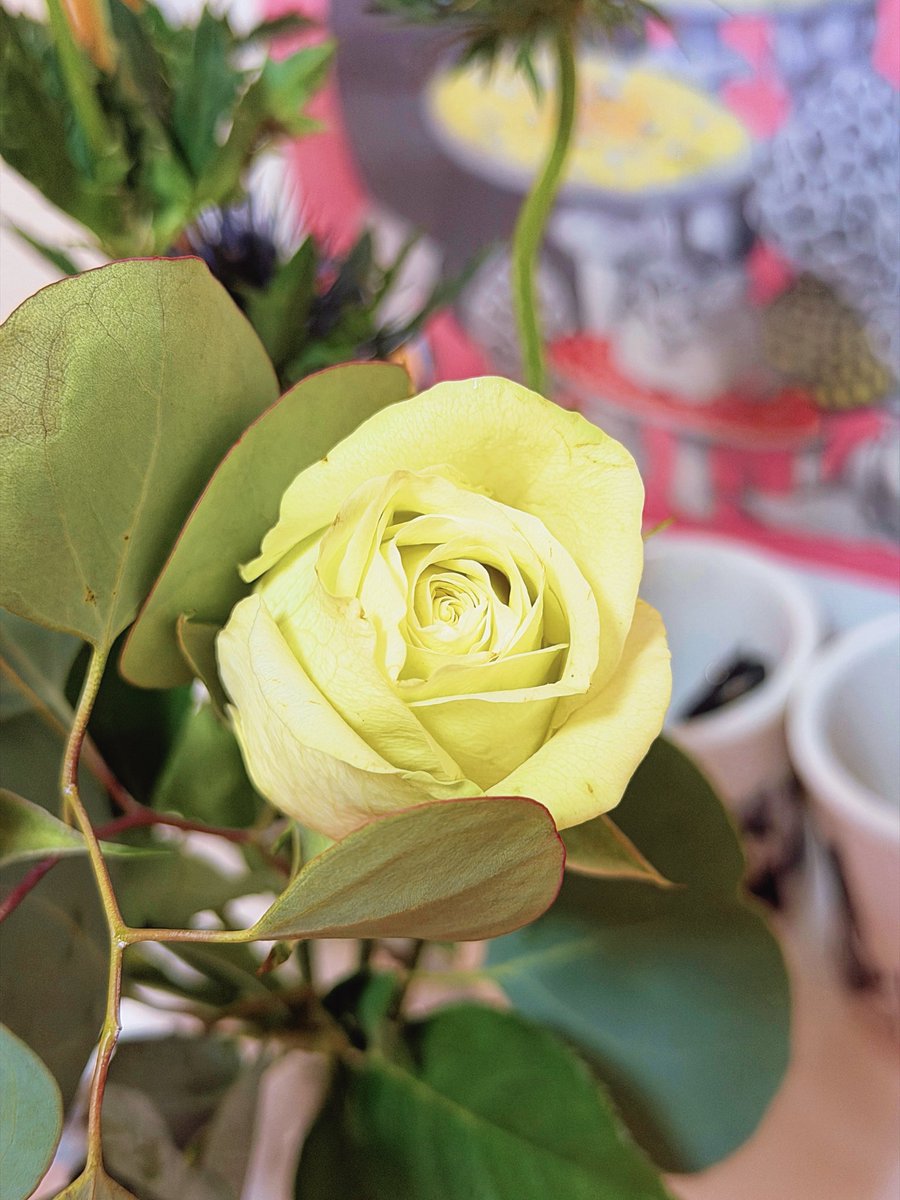 azazusa's tweet photo. 今回のお花
　
秋らしい色味の薔薇たちにしてみました。
まだ品種としても新しい「セントピーターズバーグ」という、中心に向かって黄味を帯びていく薔薇が目を引いたので、この子を中心に今回の他の子達も選びました🌹
　
少しずつ秋らしくなってきたなあ。
今月はあの子の誕生日もあるから楽しみ🥰 https://t.co/rNA4riEazg