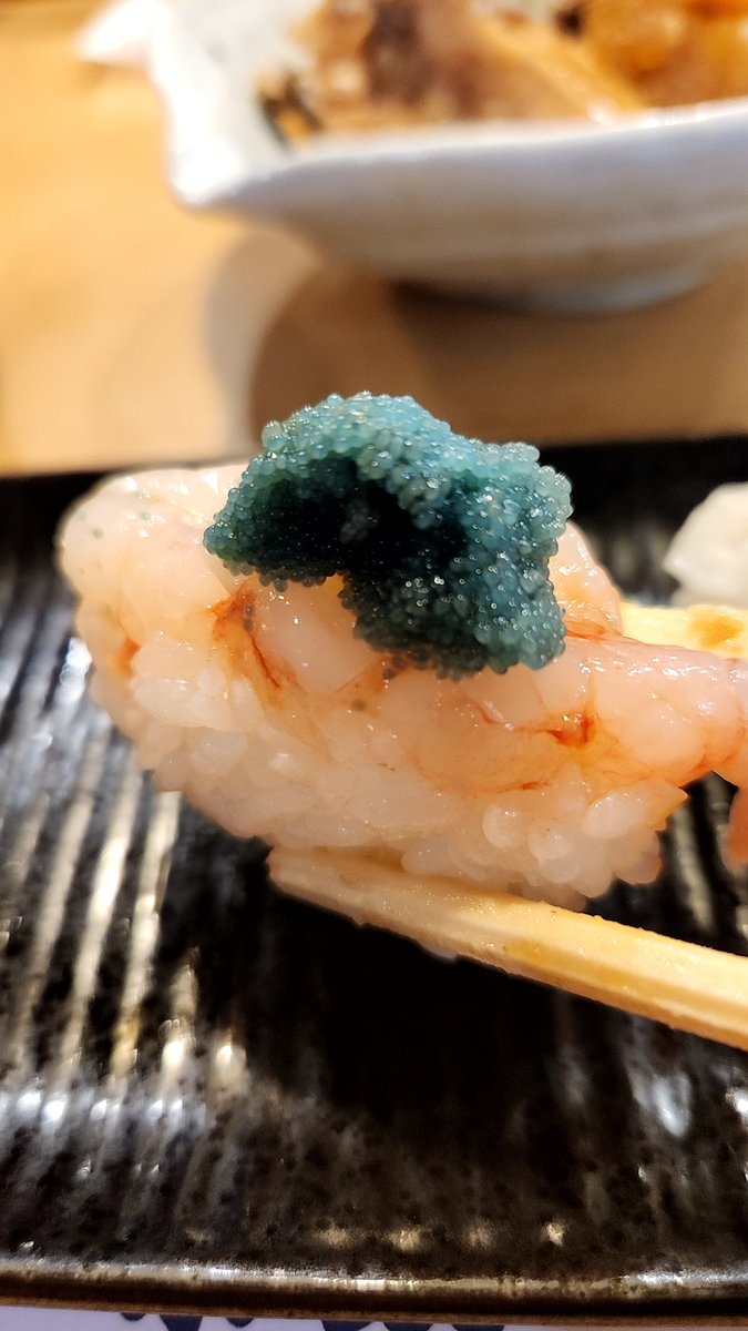 you_dissembler's tweet photo. 小政寿司@魚津、富山湾寿司。初訪問。昆布締め・シマアジやヒラマサなどの白身に加え、赤いか・のどぐろ・白エビなど大変贅沢な富山の海の幸を盛った名物。お造りは柔らかく、それでいて旨味が強い。白エビは貴重なむき身で提供。更に、こちらはセットでぶり大根も提供される。 https://t.co/FyjBvrZheG
