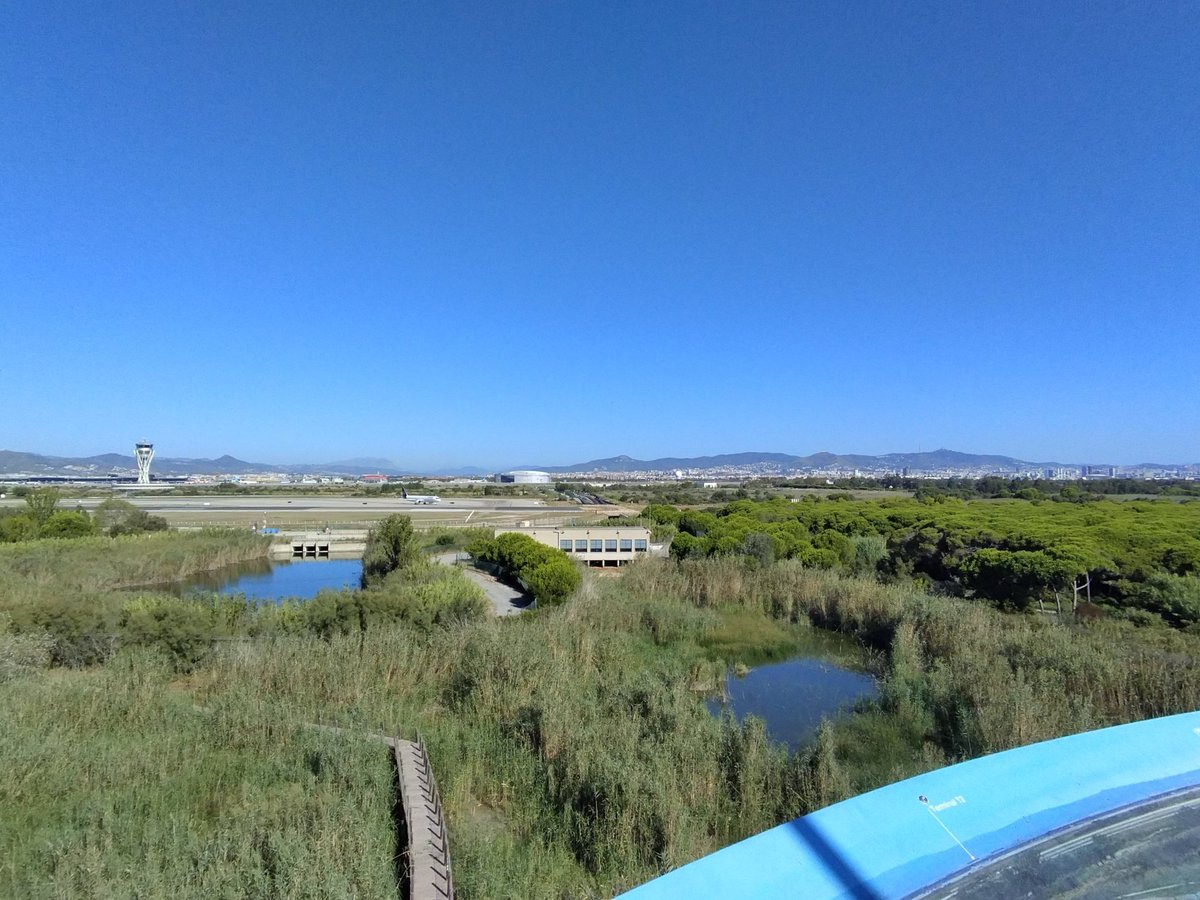 skylarhorizon's tweet photo. Magnífiques vistes en un dia esplèndid! ☀️ https://t.co/6bc9WYiPBH