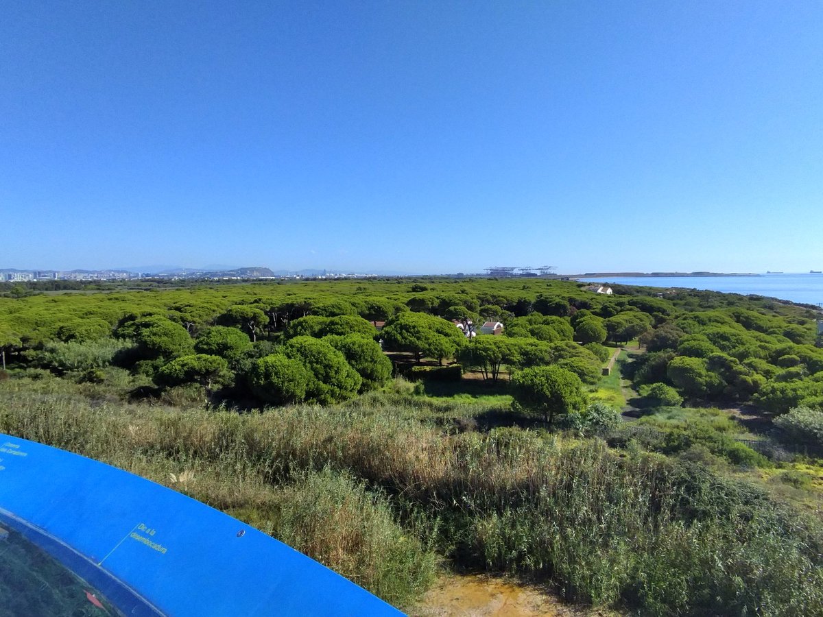 skylarhorizon's tweet photo. Magnífiques vistes en un dia esplèndid! ☀️ https://t.co/6bc9WYiPBH