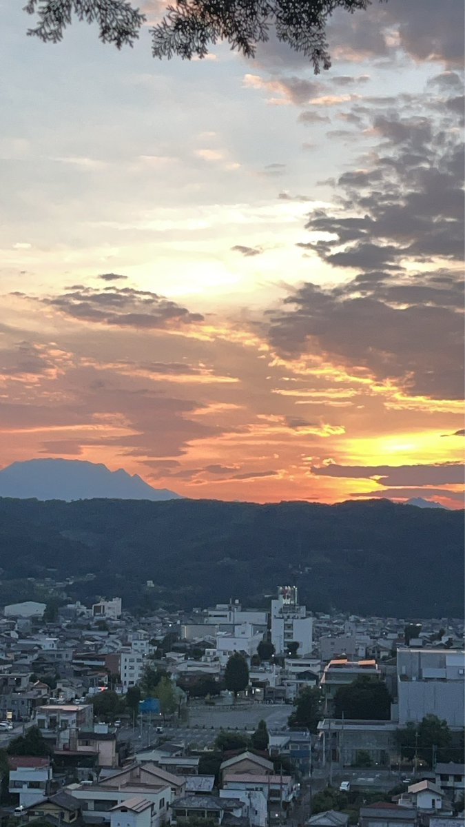 azamimedaka's tweet photo. この夏の思い出。
空ばかり見ていた気がする。
メダカ仲間の親友が突然の病で旅立った夏。 https://t.co/fXcgWGeCWz