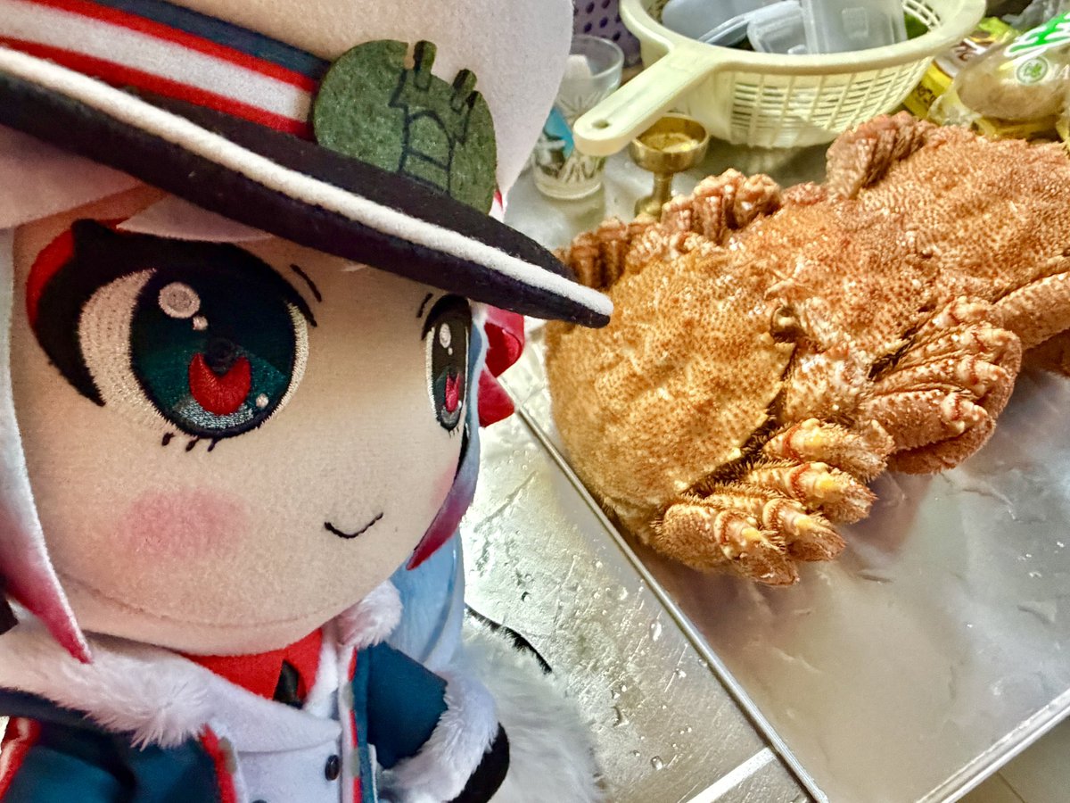 Qrmatrix's tweet photo. 🦀が届いたので
🦀が狙ってる https://t.co/mehj201Ahb