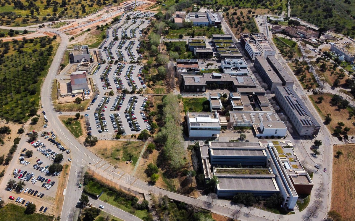 HisendaGOIB's tweet photo. 🤝El @goib i la @UIBuniversitat inicien el camí de les futures instal·lacions universitàries en el @parcbit.

✅Es reforça la connexió entre universitat, recerca i empresa, i es consolida el ParcBit com un dels motors de la transformació econòmica.

✍️https://t.co/DINeufK3Bn https://t.co/HoQlGuNKZU