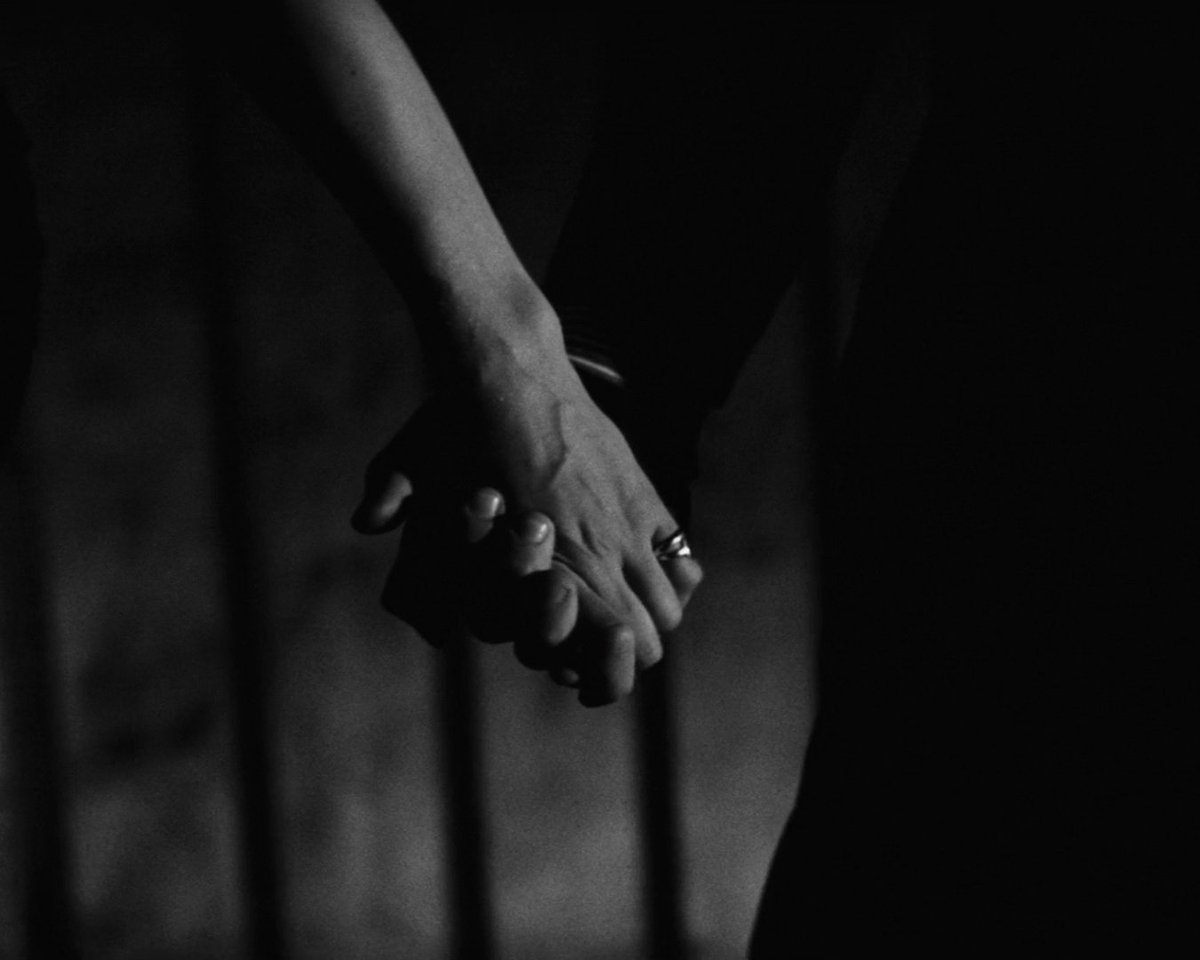 mubi's tweet photo. Guess the film. https://t.co/kY9YfNpXdC