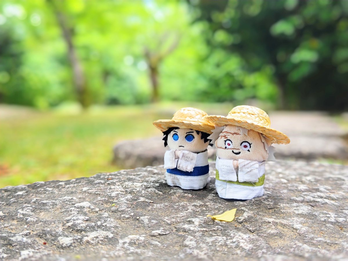 neko_ogagi's tweet photo. https://t.co/54w3q0Zgup