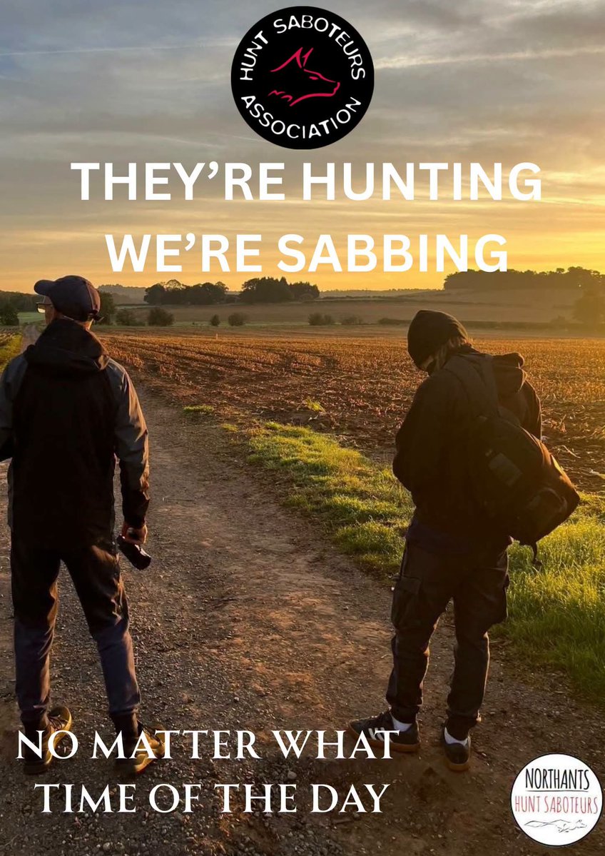 HuntSabs's tweet photo. Sabs all over the country are out at the crack of dawn to stop hunts from killing fox cubs. For the next few months hunts will be attempting to kill as many cubs as possible as they train newer hounds ready for the main season. 

It doesn't matter what time of the day or what the weather is like, sabs are dedicated to saving lives and evidencing the blatant illegal hunting still taking place twenty years after the Hunting Act. 

You can help us to do this, by becoming a member of the HSA you will support direct action and will contribute to saving the lives of wildlife. You will also receive a free subscription to our HOWL magazine 👉 https://t.co/s1vpFst2JT