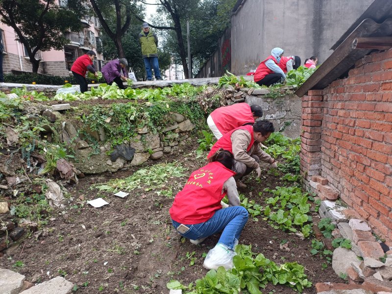 JenneferTeuea0's tweet photo. Join our neighborhood community garden clean-up this Sat 9AM at Main Park! Bring gloves u0026 water, all ages welcome—let’s green our space together! https://t.co/m5d4sReAlK