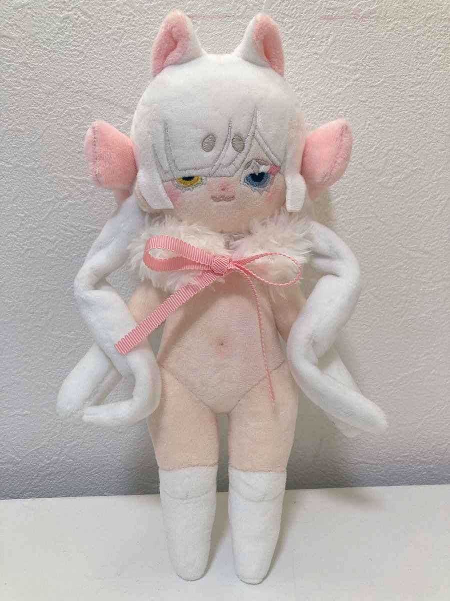 MM_Dolly_m's tweet photo. 前回たくさんお問い合わせいただいたしろねこちゃんも、ちょっとだけバージョン違いでお迎え探しします(*ฅ́˘ฅ̀*)♡ https://t.co/ZM8pVLXbkC