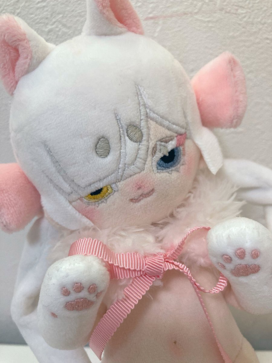 MM_Dolly_m's tweet photo. 前回たくさんお問い合わせいただいたしろねこちゃんも、ちょっとだけバージョン違いでお迎え探しします(*ฅ́˘ฅ̀*)♡ https://t.co/ZM8pVLXbkC