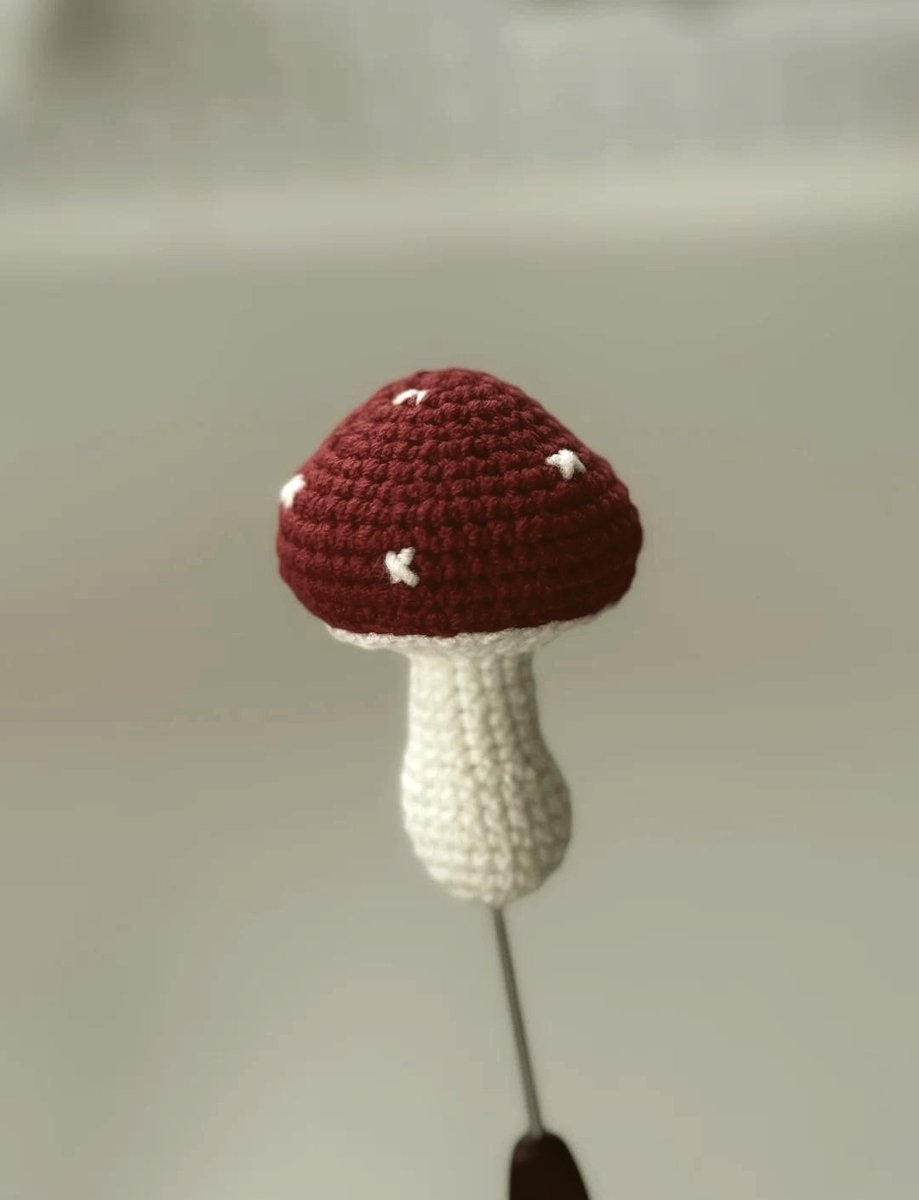 RegenaButhkwwb's tweet photo. Just finished this cute hand-knit mushroom keychain  Perfect for adding a cozy, handmade touch to my bag! Anyone else love small craft projects https://t.co/5t5E48Hghk