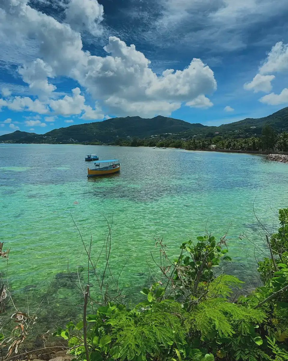 KellyTerry54's tweet photo. Island life is the best life 🌴📷<📷#islandlife #Seychelles #tropical https://t.co/1gWLRI6UPY