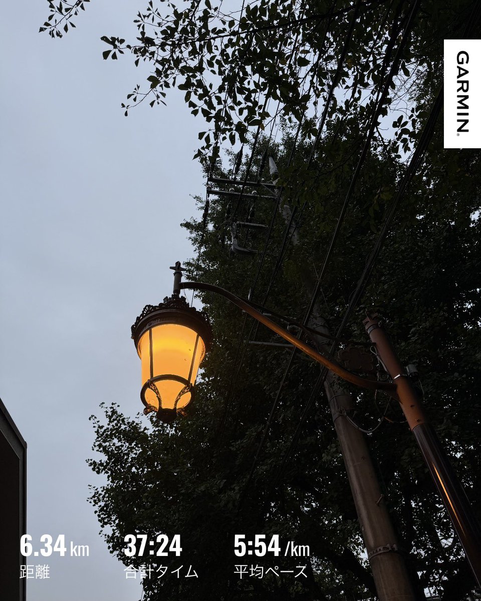 ryoden_run's tweet photo. 夕ラン。
昨日、今日と娘の部活の大会見学のため、時間が取れず、夕方少しだけ。距離はまったくもって消化不良ですが、娘の頑張りが見れた２日なのでOKとしましょう🙆
#夕ラン #ランニング #ジョギング https://t.co/x9ARAgmx2E