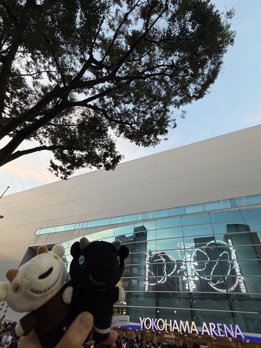 nana__e_'s tweet photo. しぇぼん！ https://t.co/peopYgyZ1H