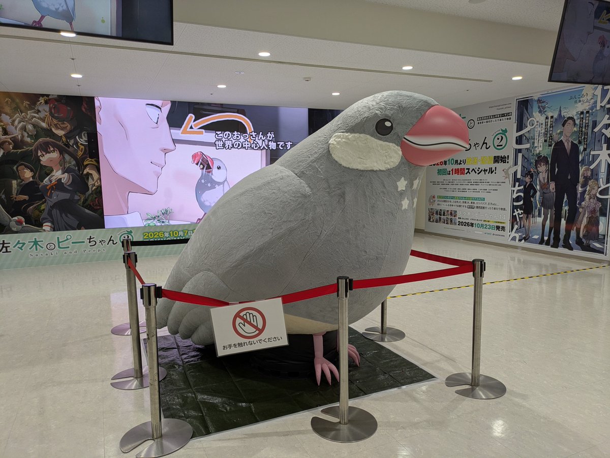 ni4444na's tweet photo. アニメイトにも寄り道してみたのだけど、新しいアニメイト入ったことないのよね…

1階だけ見てきました。

デカい文鳥が文鳥おったw
うちのブンチョス(文鳥ぬいぐるみ)よりずっとずっとデカかった！ https://t.co/pQ46HzZtme