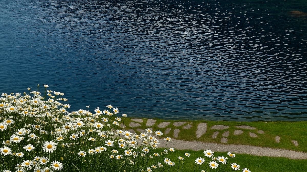 berrypinkks's tweet photo. "No rain, no flowers."
( ถ้าไม่มีสายฝน ดอกไม้ก็ไม่มีวันเติบโตและเบ่งบานได้ ชีวิตเราก็เหมือนกัน ถ้าไม่เจอเรื่องแย่ๆซะบ้าง เราก็คงไม่มีวันเข้มแข็งและโตขึ้นมาได้ขนาดนี้ ) https://t.co/hMBKyU2Fqt