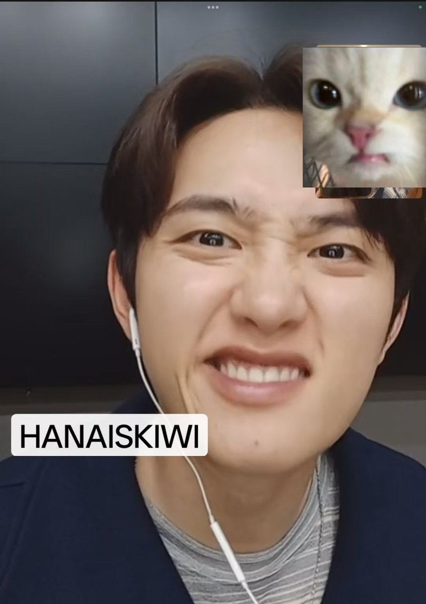 thantiyyy's tweet photo. ㅋㅋㅋㅋㅋㅋㅋㅋㅋㅋㅋㅋㅋ

Kyungsoo                                       Kyungsoo but a cat https://t.co/xXOtuns1jX