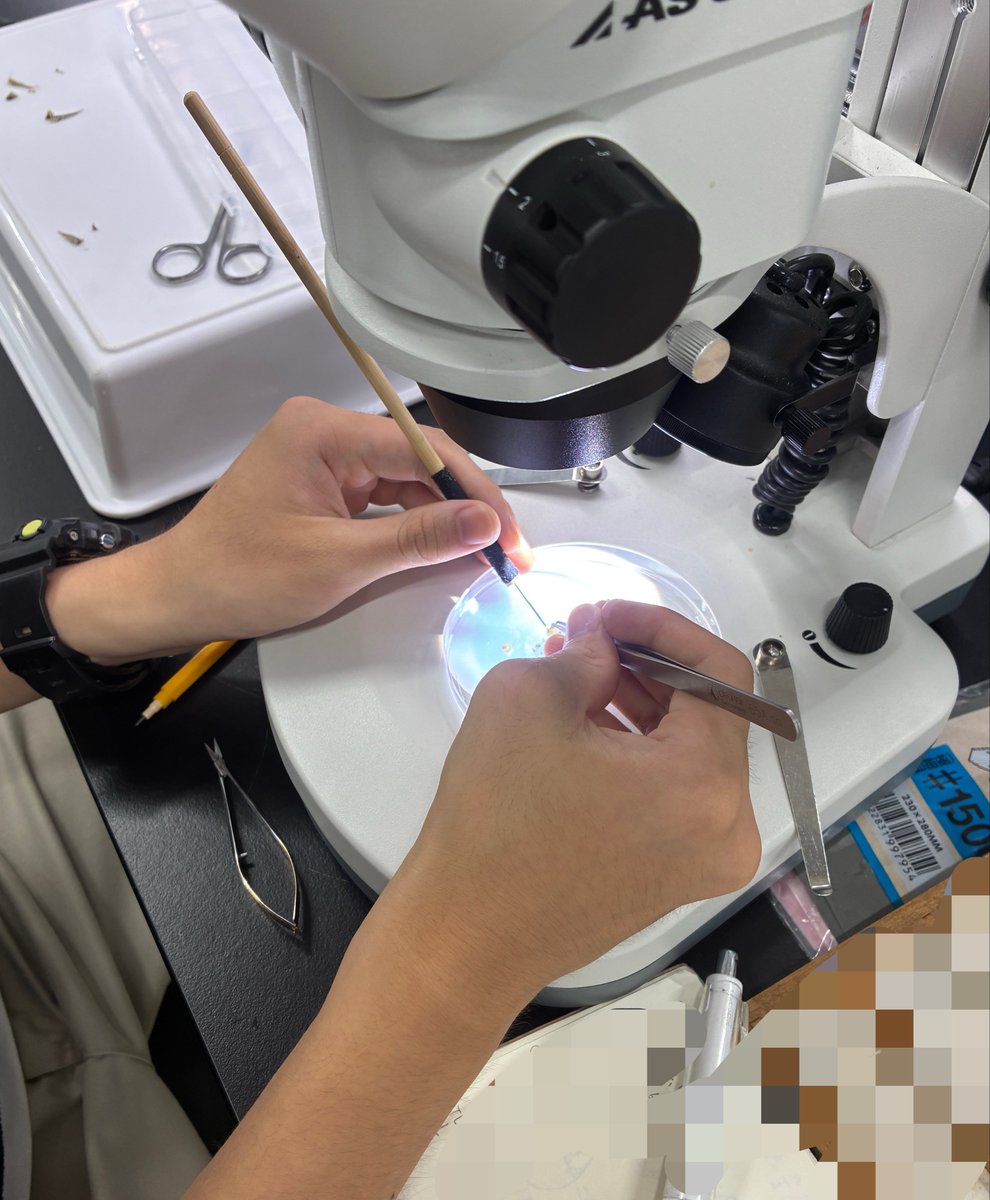 gobigobipon's tweet photo. 今日は高校生に日齢査定の仕方を伝授。どんどん聞きに来てくれる若者が多いのは嬉しいね。 https://t.co/xc9y03434P