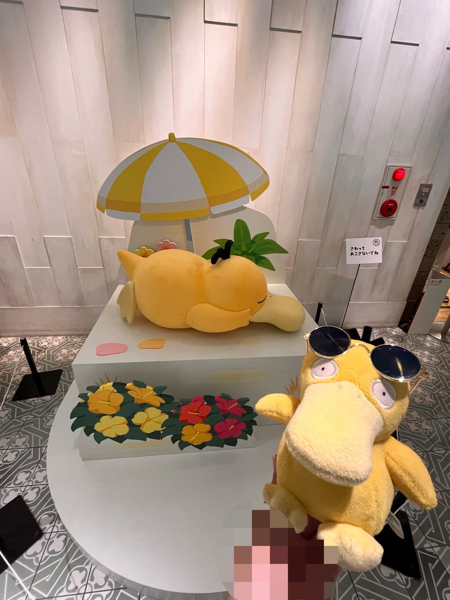 mattarinuito's tweet photo. すやすやのコダック見つけたよ！！🐥

ファンです！！🐥

#ポケモンfit #ぬい撮り #ぬい活 #ポケモンのいる生活 https://t.co/RKSH7wn6Od