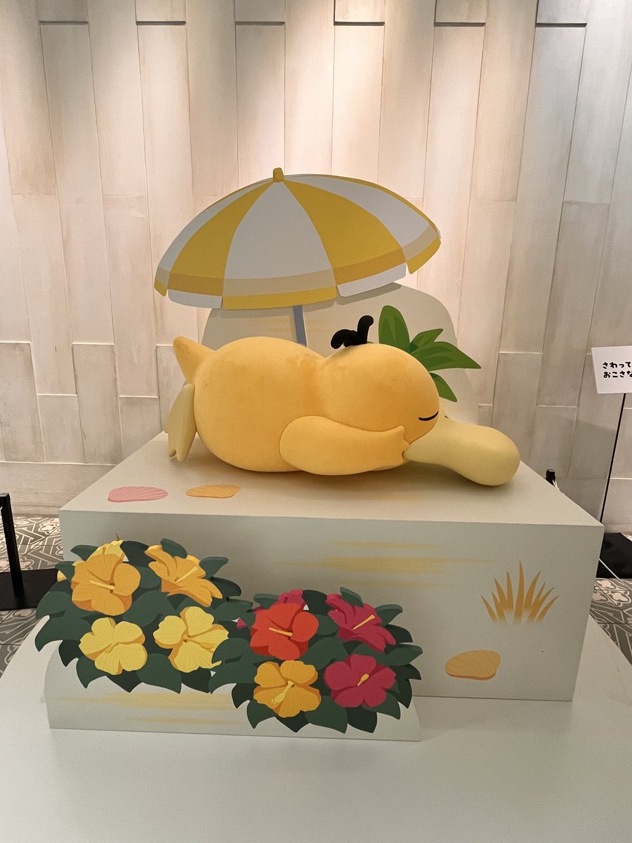 mattarinuito's tweet photo. すやすやのコダック見つけたよ！！🐥

ファンです！！🐥

#ポケモンfit #ぬい撮り #ぬい活 #ポケモンのいる生活 https://t.co/RKSH7wn6Od