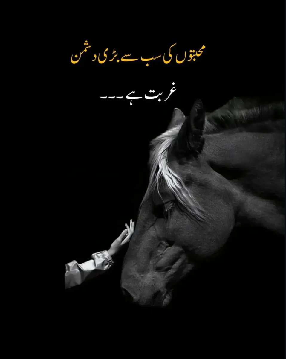 Aneeb_Writes's tweet photo. #UrduQuotes #UrduShayari #DeepQuotes #UrduPoetry #LifeQuotes #UrduStatus #MotivationalQuotes #RealityQuotes #ThoughtOfTheDay #QuoteOfTheDay https://t.co/pdSquTyXk4