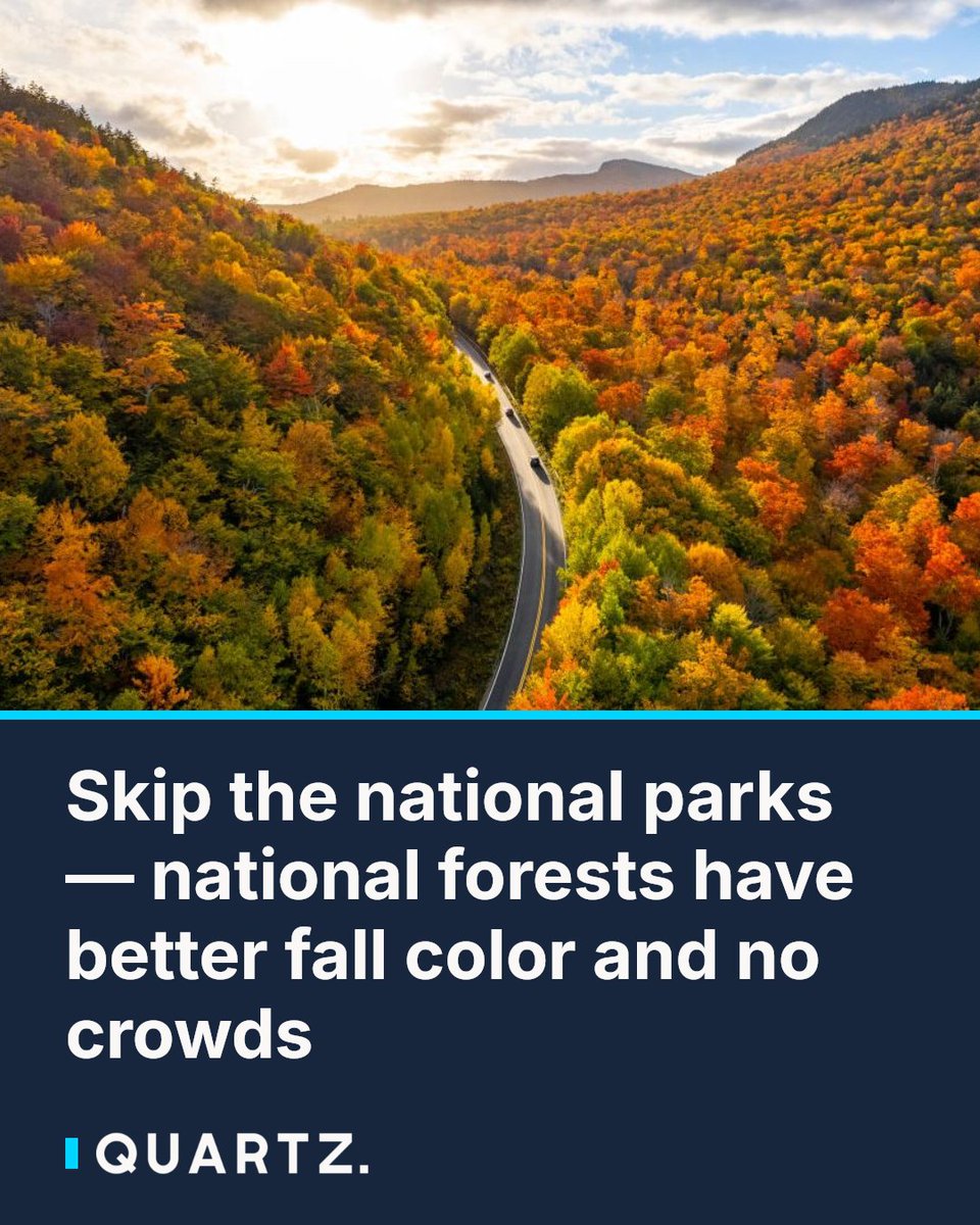 qz's tweet photo. Skip the national parks — national forests have better fall color and no crowds: With over 150 national forests across 40 states, fall foliage season doesn't have to mean gridlocked park entrances and full trailhead lots.… https://t.co/dPwZL0yJFV #FallFoliage #NationalForests https://t.co/z0gncrVdXU