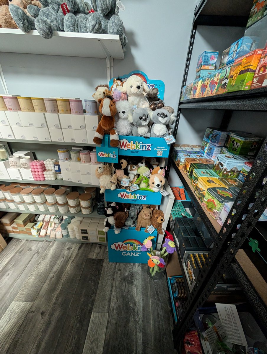 pixieplayer_'s tweet photo. Took a 30 minute drive to get webkinz, I am so happy cuz they haven't had any in area since the first release and I had to buy online and it's more expensive with shipping, so now I finally have a place I can get them at I am looking forward to the next releases 😊
#webkinz https://t.co/8Z86Wua8Cp
