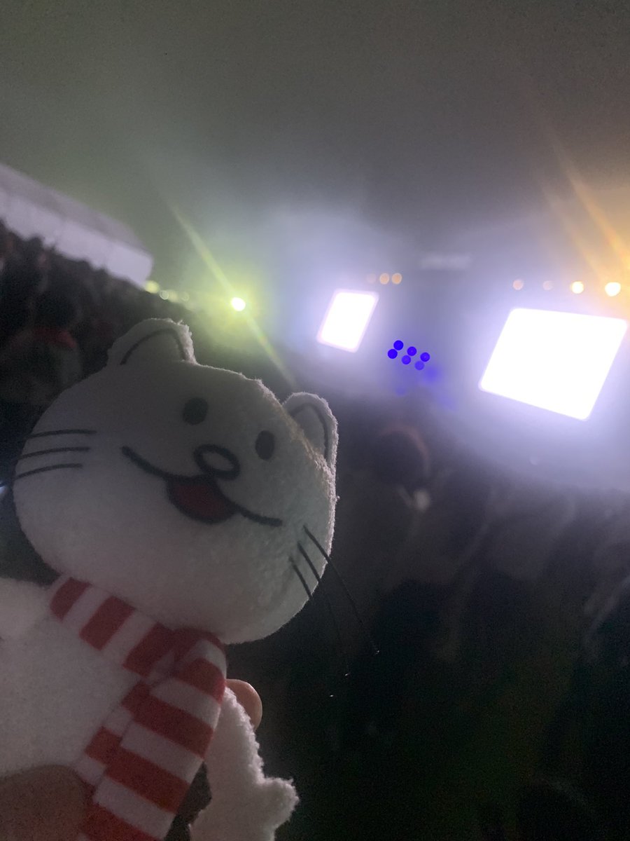 ogishima1130's tweet photo. 柵の手前付近に位置してたけど身動き取れない状態がつらいつらいで後方に下がったよ〜　遠くなったけど快適〜 https://t.co/yJcvWii9u7