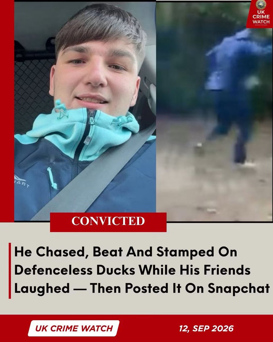 Protect_Wldlife's tweet photo. Yet again, a suspended sentence for an animal abuser 😡

CONVICTED | He Chased, Beat And Stamped On Defenceless Ducks While His Friends Laughed — Then Posted It On Snapchat

Owen Rayner, 20, of Staincross, Barnsley, chased three Mallard ducks around a lakeside, struck them repeatedly with a large stick and stamped on at least three of them as they desperately tried to flee. Two older teenagers watched and laughed as it happened. Rayner filmed it and posted it on Snapchat.

RSPCA Inspector Keith Hogben — a man with 27 years of experience — described it as one of the worst deliberate acts of cruelty on innocent defenceless animals he had ever witnessed. He said the fact those involved were laughing as they carried out the attack showed how little respect they had for living creatures.

Rayner admitted an offence under the Wildlife and Countryside Act 1981 for intentionally killing or causing injury to three ducks. The court heard the attack was deliberate, prolonged and carried out purely for amusement.

He was sentenced to an 18-week suspended prison sentence, 150 hours unpaid work and over £500 in fines and costs.

Ducks feel pain and fear just like any other living creature. They were chased, beaten and stamped on for entertainment. 

And once again — no prison time. 😡😡

Credit: UK Crime Watch.