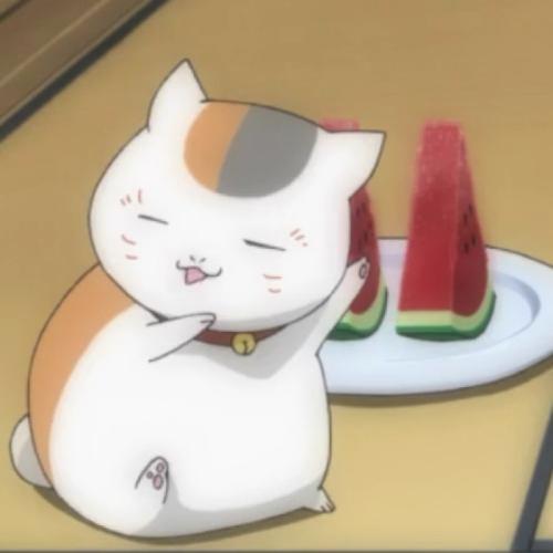 DevereGarner's tweet photo. 💦 💎 🍬 My cat is plotting something, I can tell https://t.co/2yXHQyrg1D