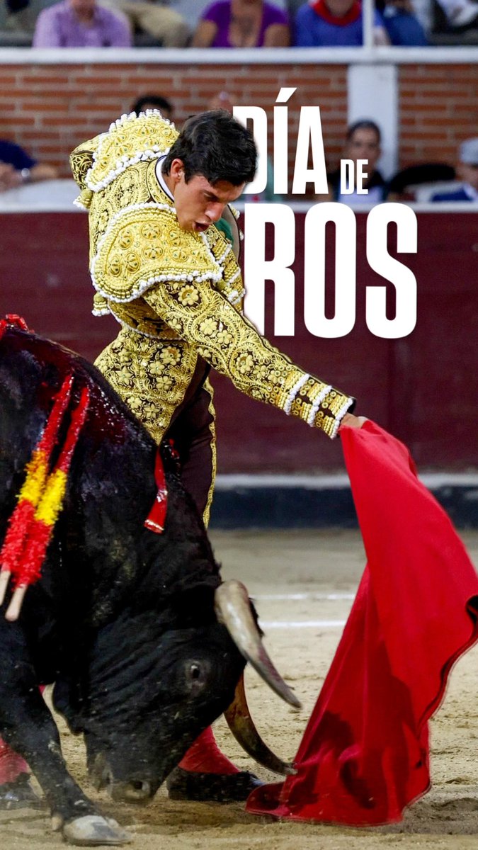 DiegoGarciaInf's tweet photo. PAREDES DE NAVA | ¡Seguimos con nuestra ruta! Nuevo #DíaDeToros.

Sigue aquí el minuto a minuto. 👇🏾 https://t.co/pGW1zUBnYG
