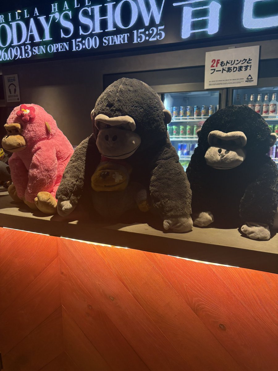 kp0129showtime's tweet photo. 娘のﾊﾞｯｸﾀﾞﾝｻｰでびゅーの会場が
ゴリラ🦍いっぱいだった😍❤️
推し活もできた♡♡ https://t.co/GAbVPYLjUB