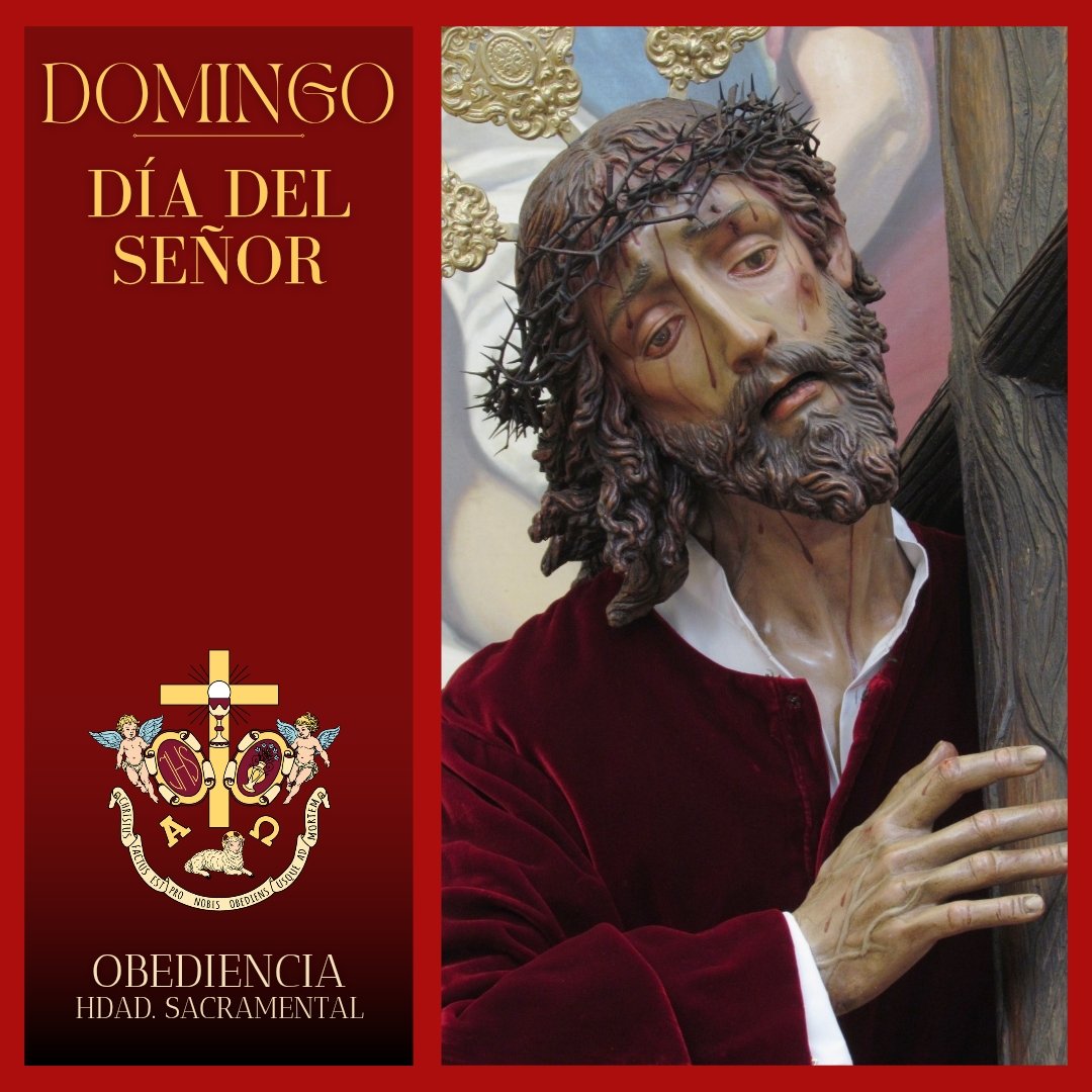 HdadObediencia's tweet photo. ✝️ EVANGELIO | «En aquel tiempo, Pedro se acercó a Jesús y le preguntó: “Si mi hermano me ofende, ¿cuántas veces tengo que perdonarlo? ¿Hasta siete veces?” Jesús le contestó: “No sólo hasta siete, sino hasta setenta veces siete”.» Mt (18, 21-35)

DOMINGO DEL SEÑOR https://t.co/4JKRRYsADL