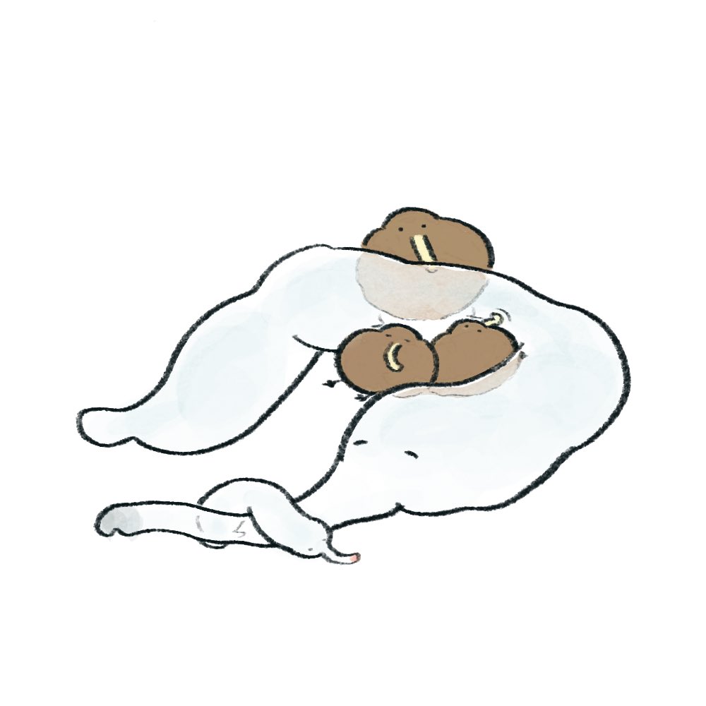 mooomiso's tweet photo. https://t.co/51kx1Ngx2K