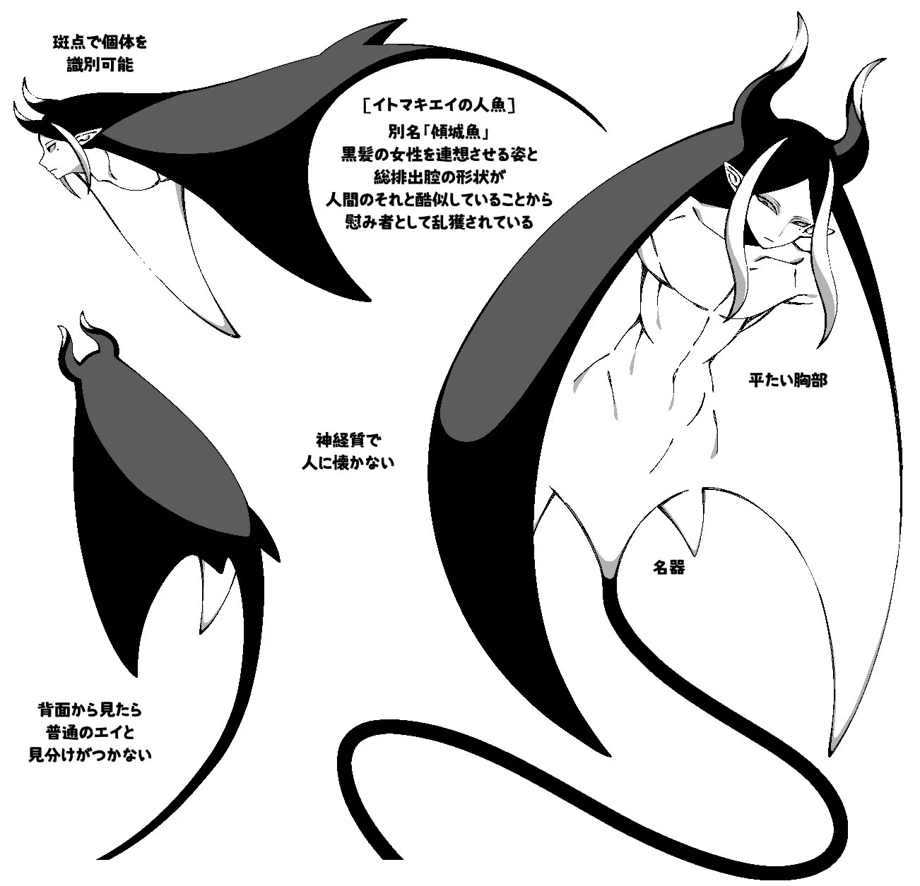 鬼木(Oniki) on X: 