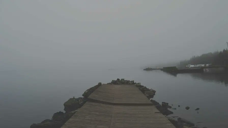 zuranasu's tweet photo. 😊😝😳Glides like a shadow to the Golden Gate.😲😭 https://t.co/ba2CrwpgWI