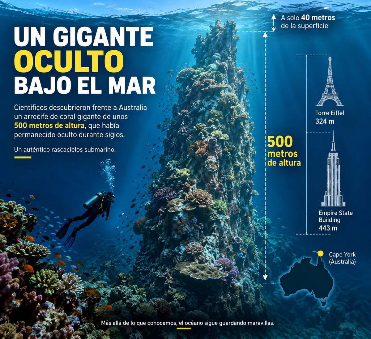 OhMiGatol's tweet photo. 🌊 ¡OCULTO A SIMPLE VISTA DURANTE SIGLOS! Científicos descubrieron frente a Australia un arrecife de coral gigante de unos 500 metros de altura. 🪸 Es más alto que la Torre Eiffel y su cima está a solo 40 metros de la superficie. Un auténtico rascacielos bajo el mar. 😱 https://t.co/DWA60DHiAV