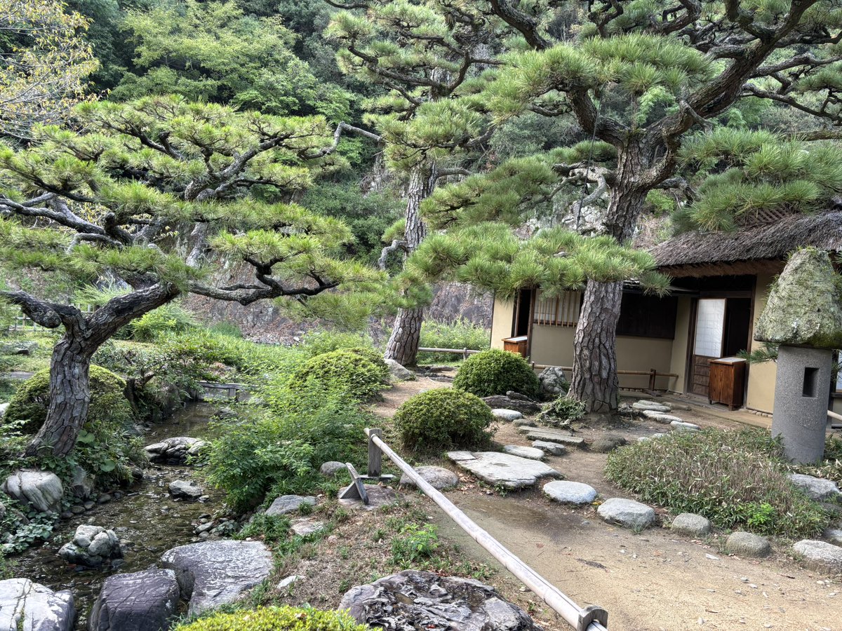 jadeakkun0217's tweet photo. 和柄の服を着て和の庭園に行くことで大量の和を摂取してきた🍡
締切時間で茶屋的なところに行けなかったけど機会があれば行きたい https://t.co/bodws0yBIw